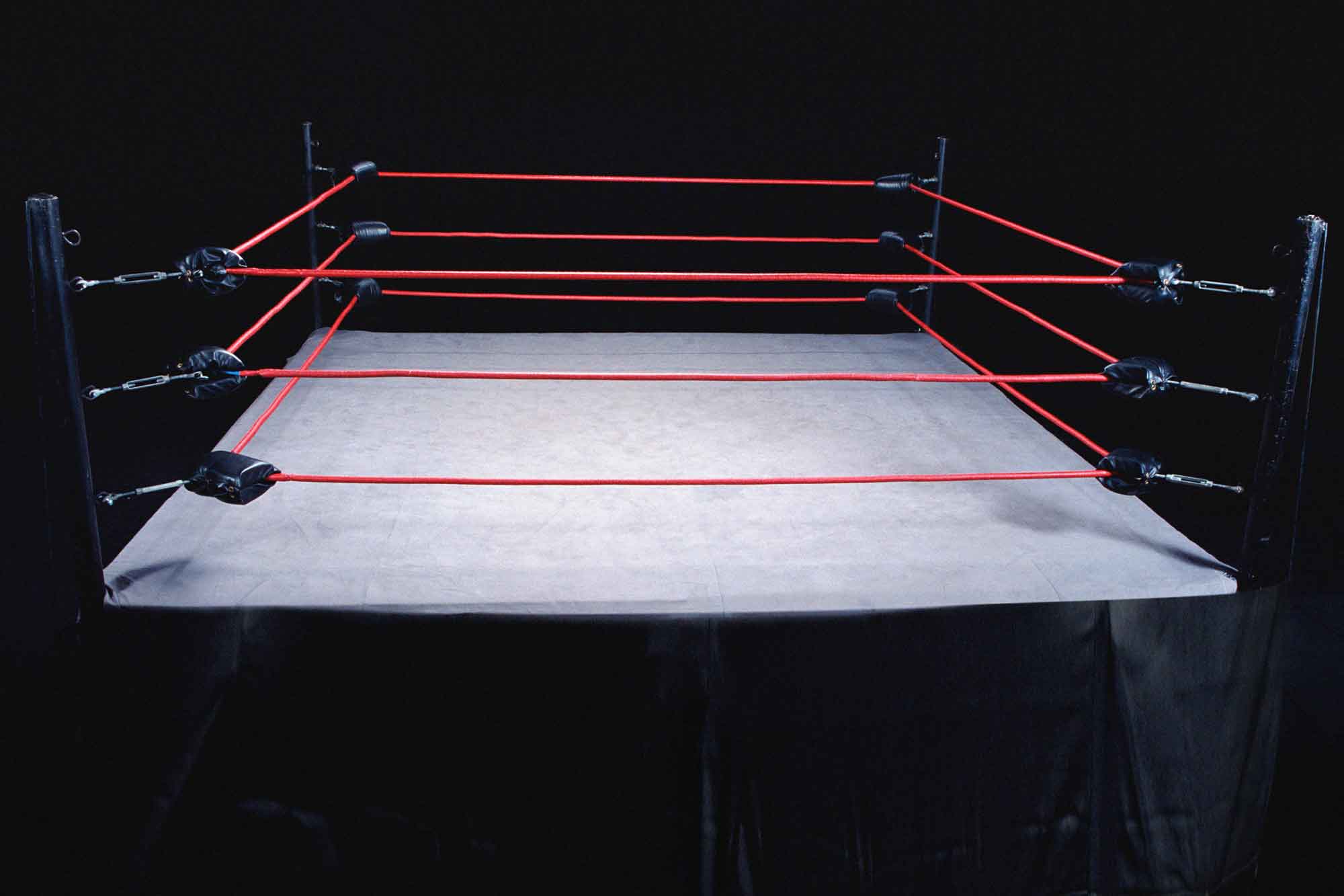 wwe wrestling ring big w