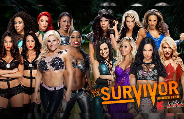 The Bella Twins, Natalya, Eva Marie and More WWE Wrestling Divas
