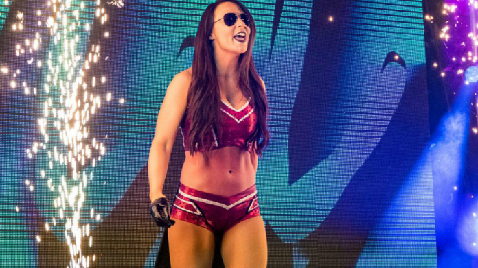 Nikki The Bella Twins Signed WWE Ring Worn Used Dress PSA/DNA Diva Photo  Shoot 1