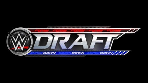 WWE provides a full list of possible selections for the Draft - Diva Dirt