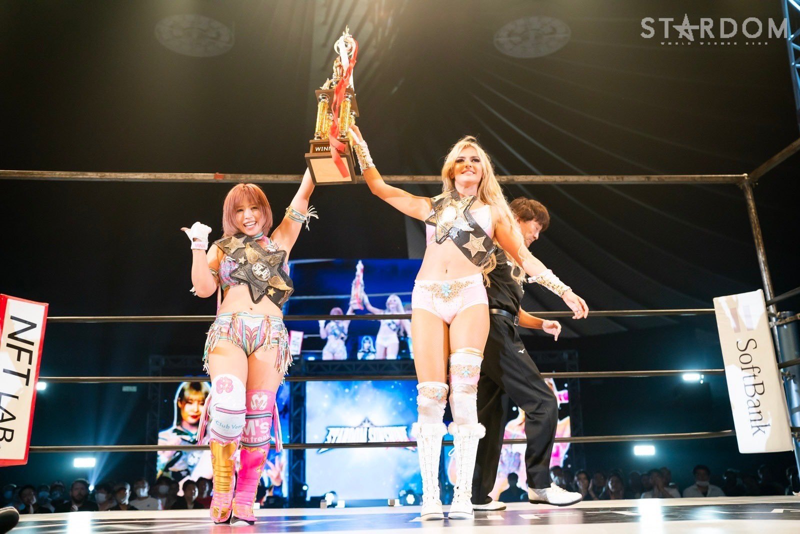 Giulia Challenges Willow; New Goddess Of Stardom Champs Crowned